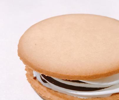 ビスケットサンド ビスケットサンド,ビスケット,バニラの写真素材