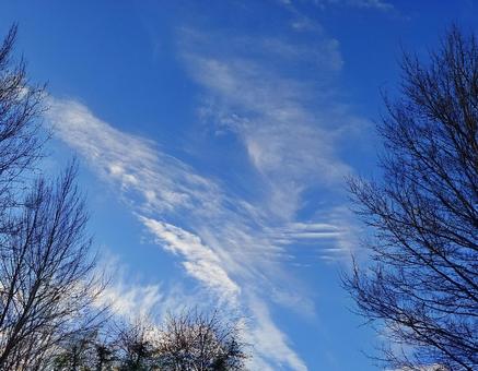 冬の朝 空と雲の風景3 冬の朝,晴れ,雲の写真素材