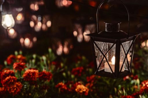 ロマンチックな背景　暖かい家庭のお庭の写真