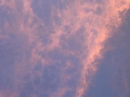 夕方のピンク空 夕方のピンク空の写真