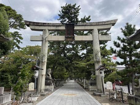 長濱八幡宮 長濱八幡宮 八幡宮,神社,長浜の写真素材