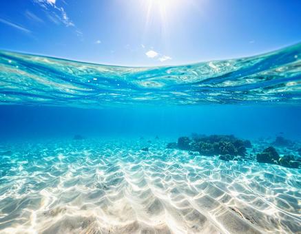 海の風景　夏　水中の様子2の写真