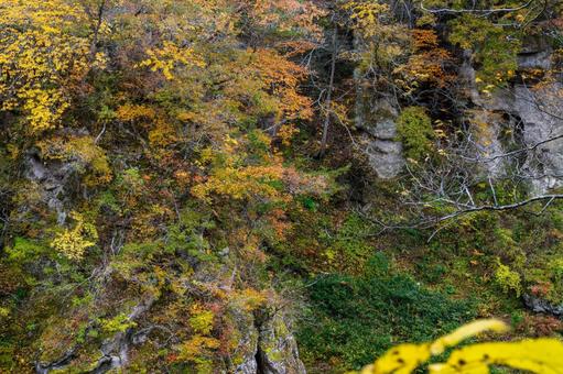 秋の磊々峡(52) 秋,紅葉,磊々峡の写真素材