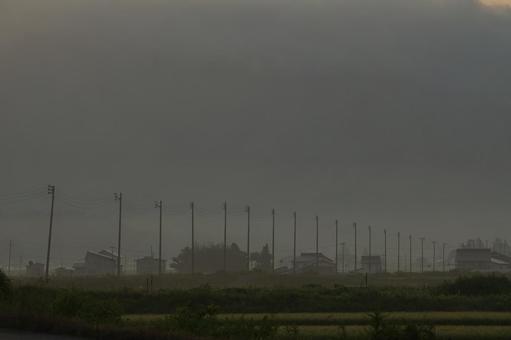 朝霧の電柱 朝霧の電柱の写真