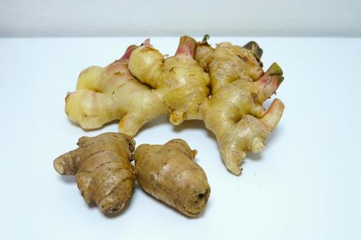 生姜 しょうが,新生姜,ジンゲロールの写真素材