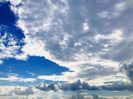 夏空 夏空の写真