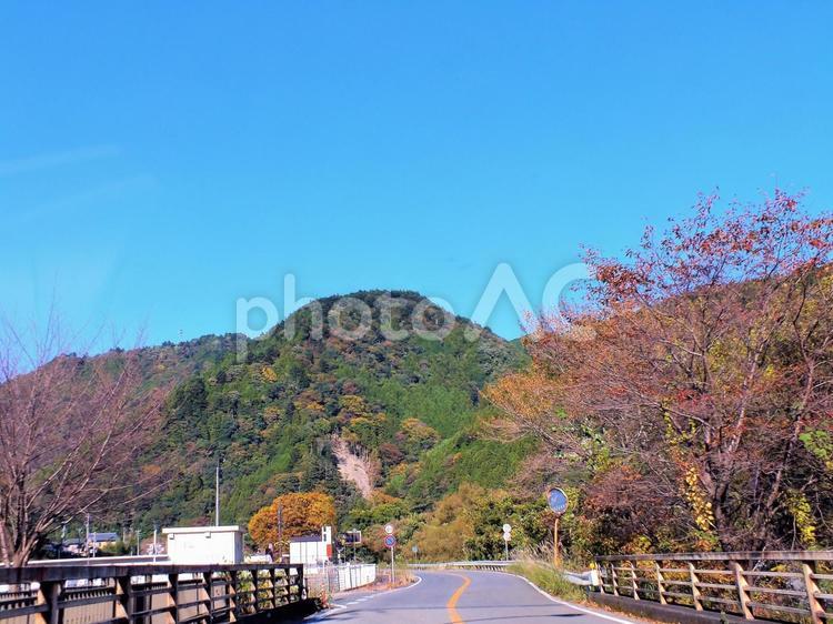 紅葉の木々と奥大井への道 紅葉,いろどり,色づくの写真素材