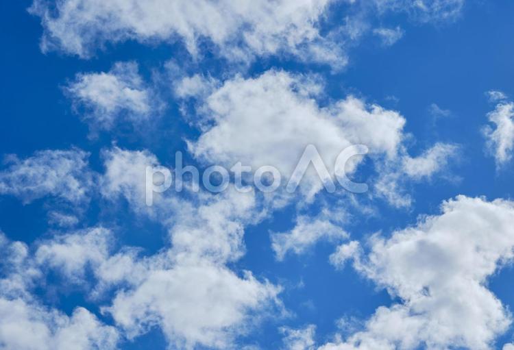 鮮かな青空と秋の雲 風景,天気,秋空の写真素材