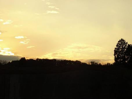 夕陽と木々のシルエット 夕陽,夕焼け,夕暮れの写真素材