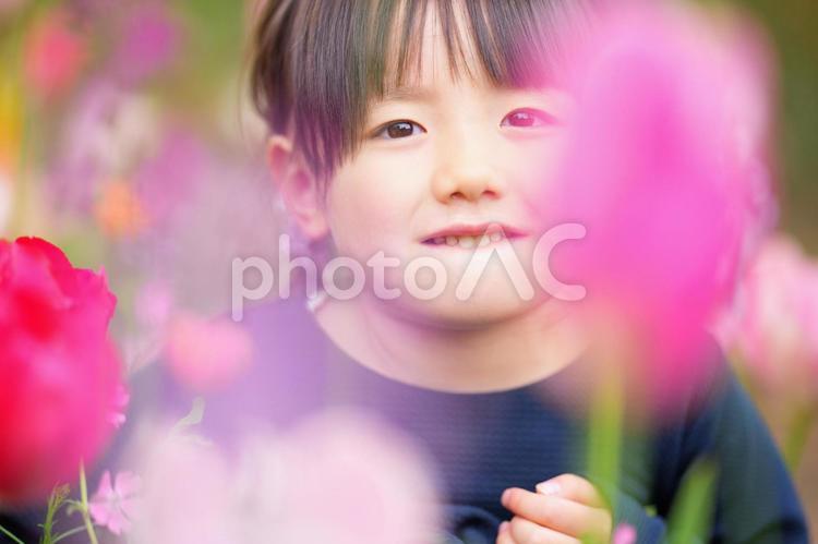 花畑にいるカメラ目線の女の子 女の子,小学生,子どもの写真素材