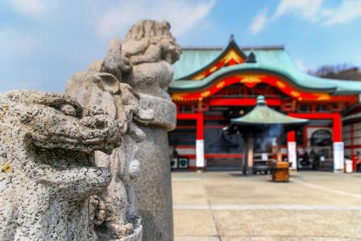犬山市 犬山成田山の狛犬と本堂（愛知） 犬山成田山,成田山,大聖寺の写真素材