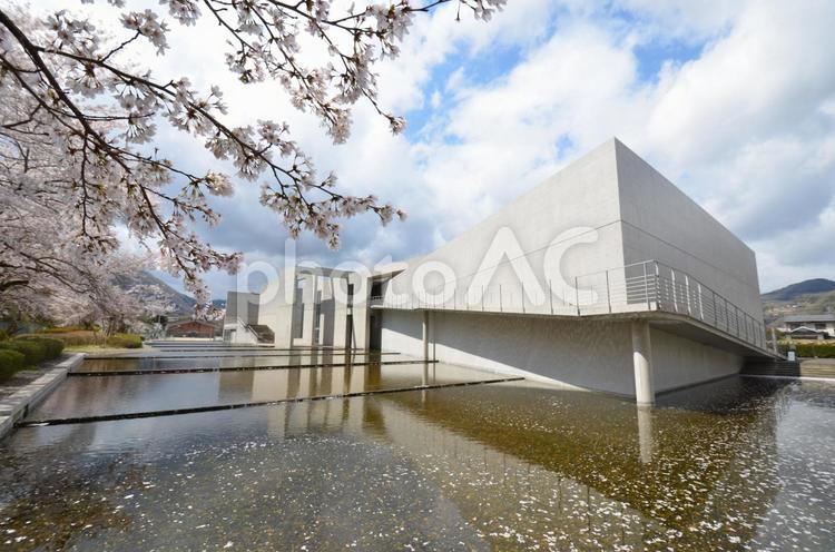 高梁市成羽美術館 高梁市成羽美術館,安藤忠雄,コンクリートの写真素材