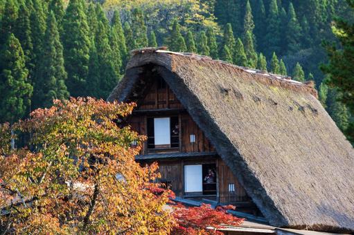 紅葉の中の合掌造り 白川郷,紅葉,合掌造りの写真素材