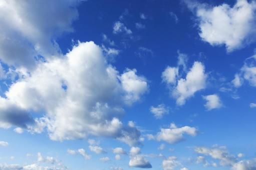 秋の空31 秋の空31 秋,青空,空の写真素材
