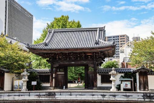 光永寺山門 光永寺山門 光永寺,向陽山光永寺,山門の写真素材