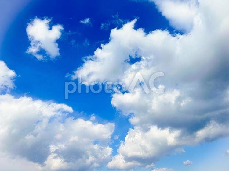 夏休みに見た大きな空 空,雲,青空の写真素材