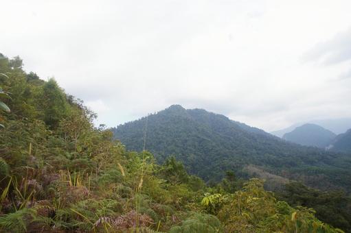 山の上 山の上の写真