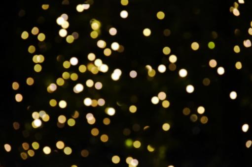 イルミネーションの写真