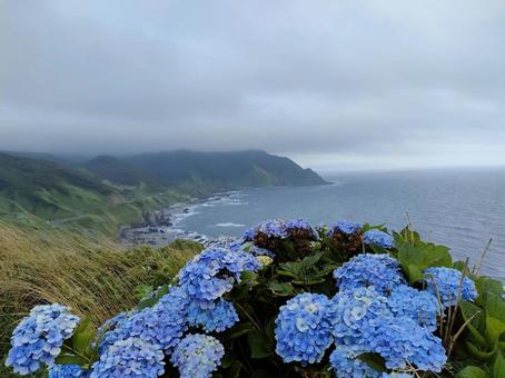 紫陽花と海 紫陽花と海 アジサイ,海,山の写真素材