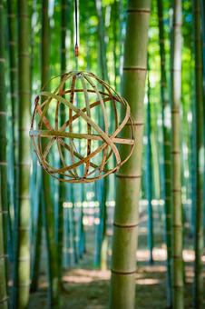 栃木県　竹林 栃木,栃木県,宇都宮市の写真素材