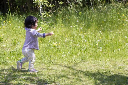 Toddler baby 1, JPG Toddler baby 1, baby, toddki, tottering, JPG