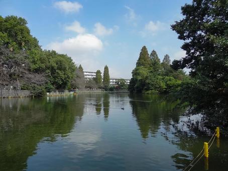 Pond in Musashinoseki Park, JPG Pond in Musashinoseki Park, JPG
