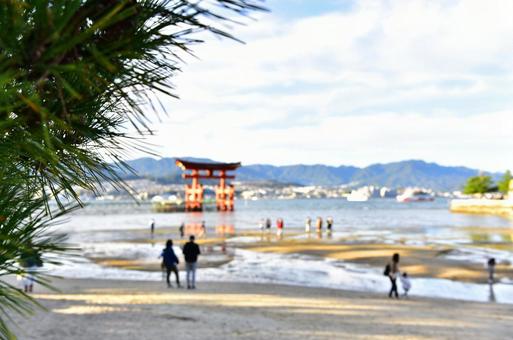 神社8 神社8の写真