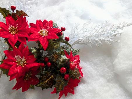 クリスマス（心温まるクリスマスを）2 クリスマス,ポインセチア,冬の写真素材
