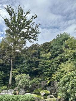 池と空 池と空の写真