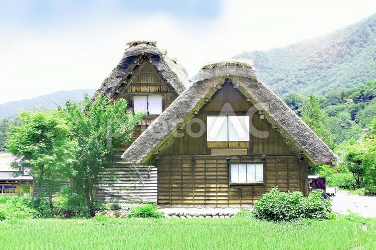 白川郷の合掌造の古民家の風景画像 白川郷,合掌造り,合掌集落の写真素材