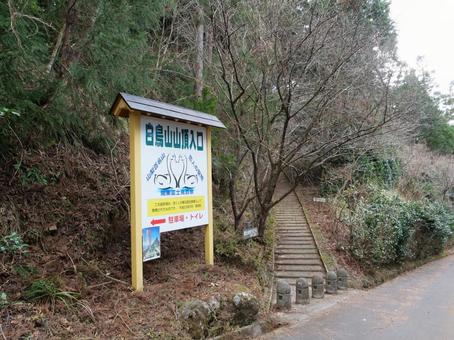 白鳥山　登山口 白鳥山,南部町,富士宮市の写真素材