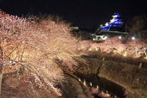Cherry blossoms and castle at night, JPG