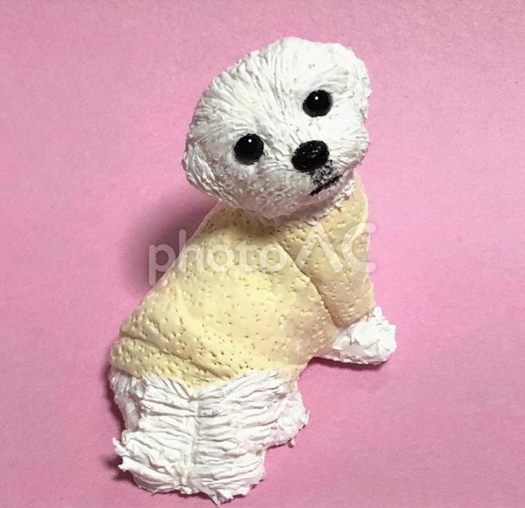 振り向きマルチーズ　粘土細工 犬,マルチーズ,白犬の写真素材