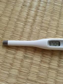 測ったら微熱 測ったら微熱 熱,測る,検査の写真素材
