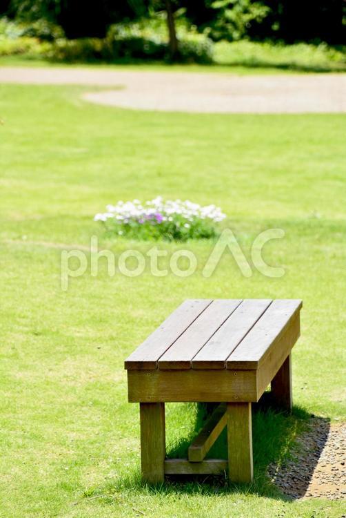 公園の木製ベンチで休憩 ベンチ,椅子,木の椅子の写真素材