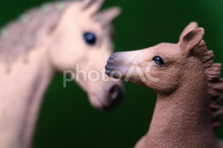 シュライヒ　見つめ合う馬の親子フィギュア シュライヒ,シュライヒフィギュア,馬の写真素材