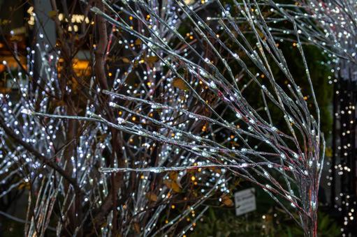 クリスマスのイルミネーション クリスマス,イルミネーション,ライトアップの写真素材