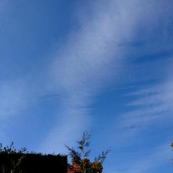 雲 晴れ 雲 晴れの写真