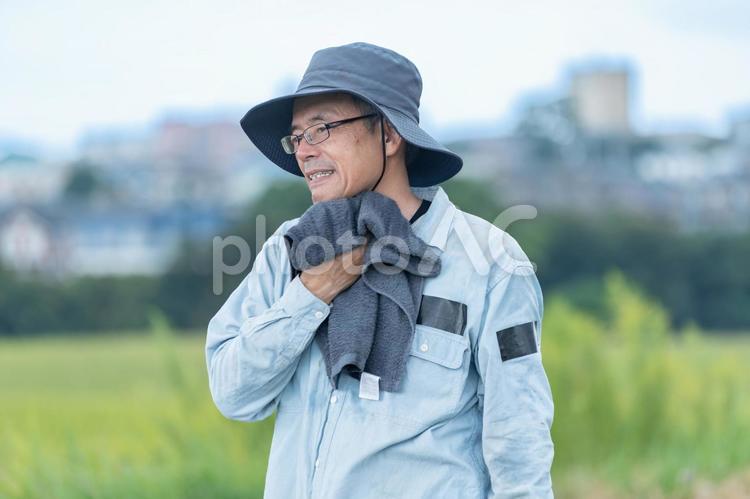 タオルで体を拭く男性 休む,休憩,野菜の写真素材