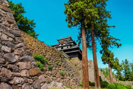 【島根】国宝松江城 島根県庁,島根,県庁の写真素材
