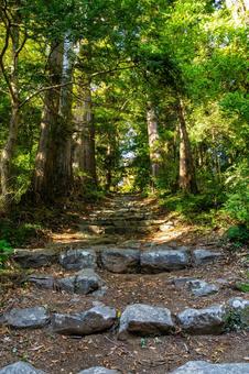 安狐山斗蔵寺⑴ 寺,寺院,安狐山斗蔵寺の写真素材