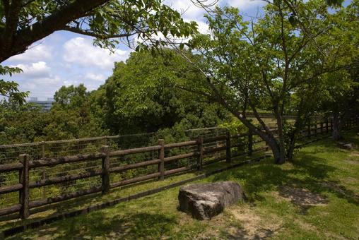 Benches and trees in the park under the blue sky, JPG Benches and trees in the park under the blue sky, JPG
