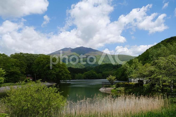 長老湖の春（初夏）の新緑の風景 長老湖,水,湖の写真素材