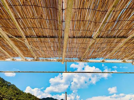 夏の風景 夏,夏の終わり,夏景色の写真素材