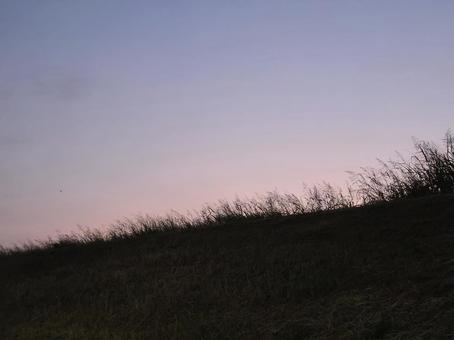土手とすすき 土手とすすき 背景,風景,自然の写真素材