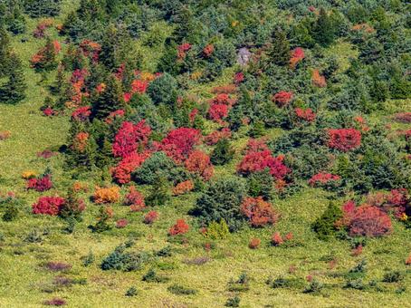 秋の一切経山 秋の一切経山の写真