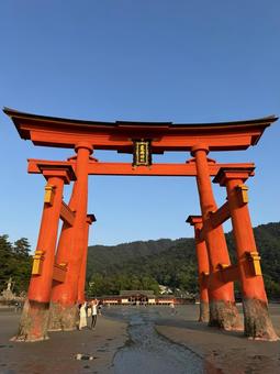 厳島神社③ 厳島神社③の写真