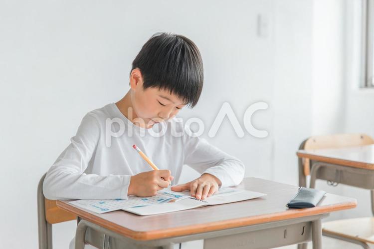 学校で勉強する小学生（塾・夏期講習） 勉強,子供,学校の写真素材
