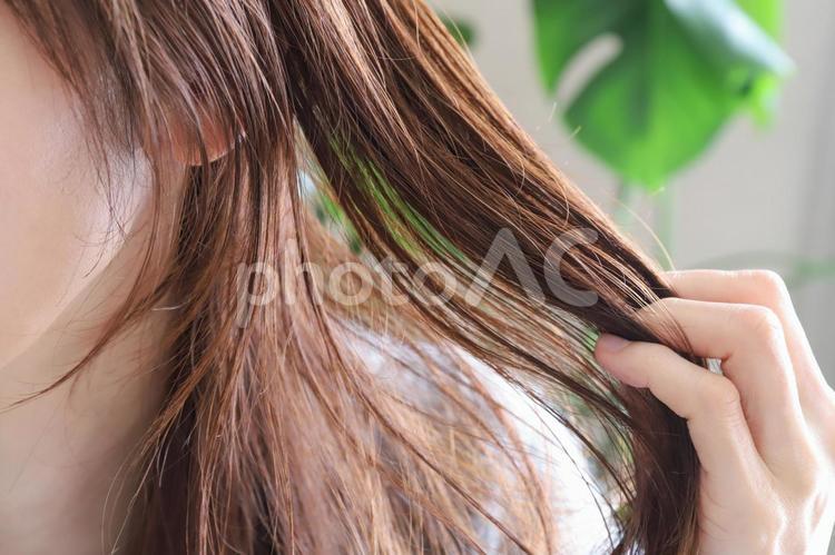 髪の毛を触る女性　ヘアケア ヘアケア,ヘアースタイル,ヘアセットの写真素材