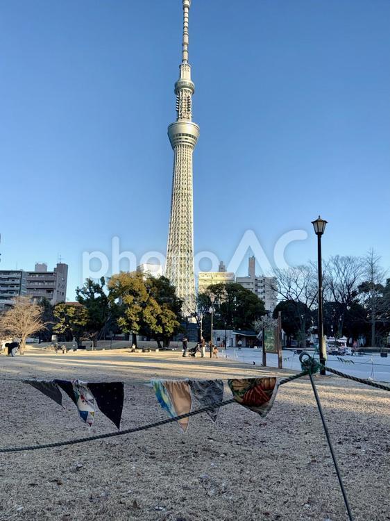 隅田公園　墨田区側　ガーランド ガーランド,端切れ,アートの写真素材
